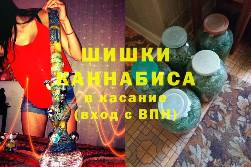 Конопля гибрид  Белоярский 